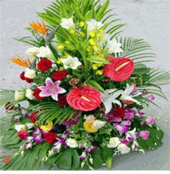 Grand Opening Arrangement 