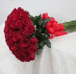 Red Rose
