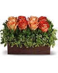 Teleflora'sUptownBouquet