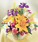 Ha Long Flower  Shop, VN