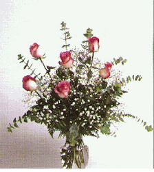 Haft  Dozen Pink Roses