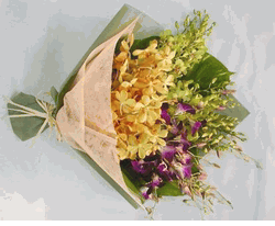 Hand bouquet Orchids cheer