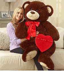 Handsome Henry Giant Bear with Chocolate