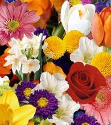 Hanoi Florist Designed Bouquet