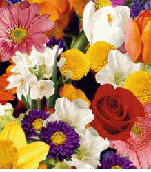 Hanoi Florist Designed Bouquet