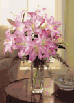 Hanoi Florist & Flower Shops In Viet nam. 
