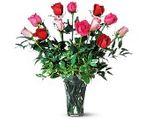 Hanoi Roses