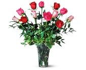 Hanoi Roses