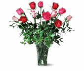 Hanoi Roses