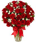 Happy Woman's Day 3 Dozen Roses - Red