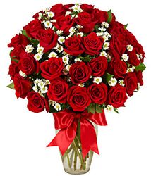 Happy Woman's Day 3 Dozen Roses - Red