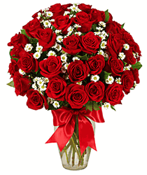 Happy Woman's Day 3 Dozen Roses - Red