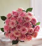 Happy Woman Day Pink Rose( LG)