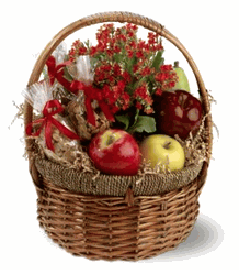 Health Nut Basket