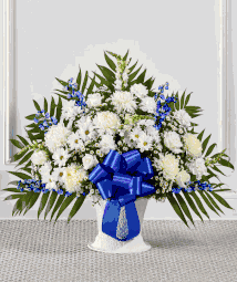 Blue & White Sympathy 