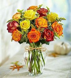  Autumn Roses