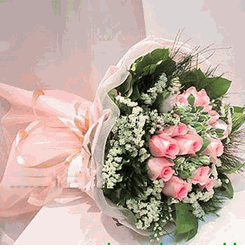 Hoa bo Pink rose