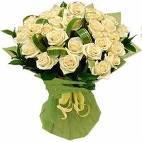 Hoa bo_White rose