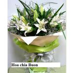 Hoa chia bu&#7891;n- Hoa Sympathy