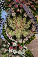 Hoa Sen Flower 