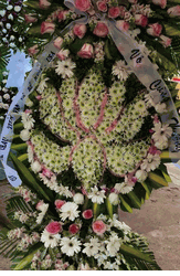 Hoa Sen Flower 