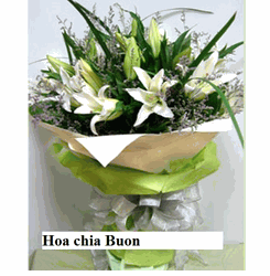 Hoa Chia Buon