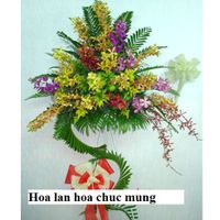 Hoa Chu'c Mu'ng