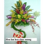 Hoa Chu'c Mu'ng