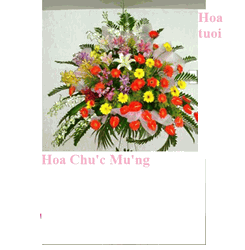 Hoa Chu'c Mu'ng
