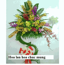 Hoa Chu'c Mu'ng