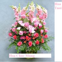 Hoa Chu'c Mung - Hoa Tuoi