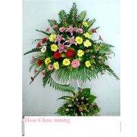 Hoa Chuc Mung