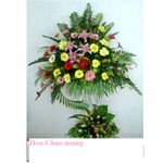 Hoa Chuc Mung
