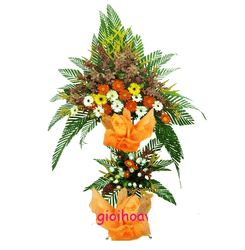 Hoa Chuc Mung 