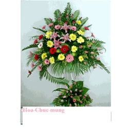 Hoa Chuc Mung