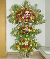 Hoa chuc mung Khai truong