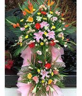 Hoa Chuc Mung Khai truong