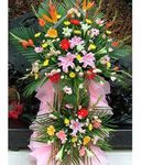 Hoa Chuc Mung Khai truong