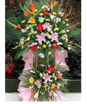 Hoa Chuc Mung Khai truong