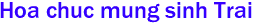 Hoa chuc mung sinh Trai