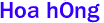 Hoa h&#7891;ng 