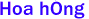 Hoa hồng 