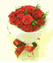 Hoa hong do 12