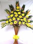 Hoa Khai Truong 003