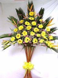 Hoa Khai Truong 003