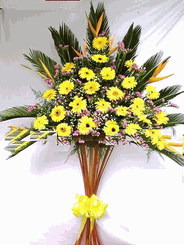 Hoa Khai Truong 003