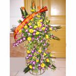 Hoa khai truong 008