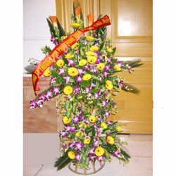 Hoa khai truong 008