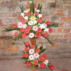 Hoa khai truong chuc mung flowers congrat