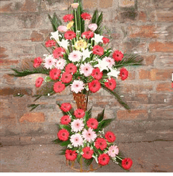 Hoa khai truong chuc mung flowers congrat